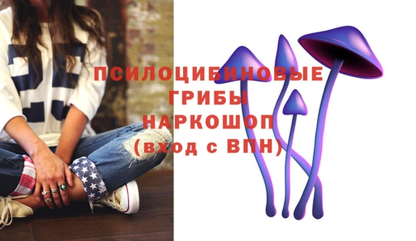 мдпв Вязьма