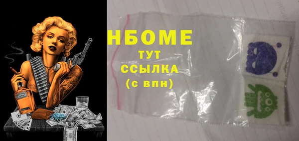 мдпв Вязьма